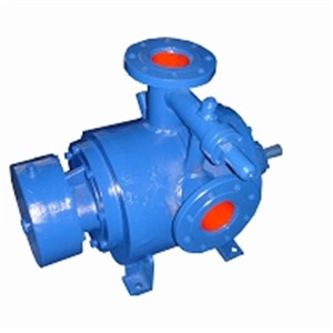 Internal Bearing Twin Screw Pump