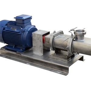 Sanitary Twin Screw Pump