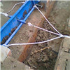 Poultry Chicken Farm Manure Removal System