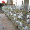 Wire Mesh Rabbit Cages for Rabbit Farm