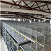 Wire Mesh Baby Chicken Cage for Sale