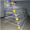 Poultry Cage for Layer Chicken Farm