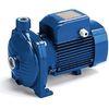 Large flow Centrifugal Water Pump 2HP / 1.5KW for irrigating gardens