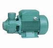 Brass impeller Domestic Water Pumps electric clean water 1.5 hp irrigation pump