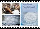 98.8% Purity Testosterone Phenylpropionate Steroid Raw Powder CAS 1255-49-8