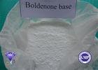White Powder Boldenone Steroid Boldenone Undecylenate CAS 846-48-0