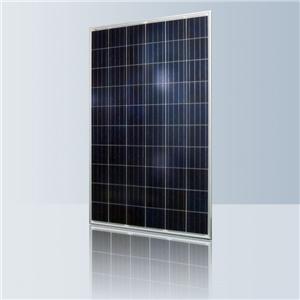 Polycrystalline Solar Module