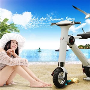 350W /500w Samsung/LG Battery Electric Bicycle With 10& acute;& acute;wheel By Green Power
