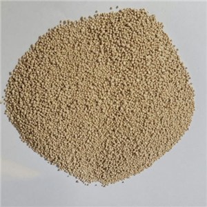 L-Lysine HCL 98.5%