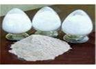 Paclitaxel Taxol Natural Plant Extracts For Treat Cancers CAS 33069-62-4