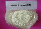 High Purity Trenbolone Acetate Raw Hormone Powders Revalor-H CAS 10161-34-9