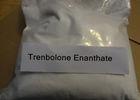 White Legal Testosterone Steroid Raw Powder 99.0% Purity  HS Code 3004409061
