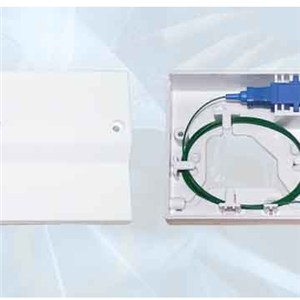 FTTH 1 Or 2 Cores Face Plate. 2 Ports FTTH Terminal Box