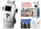 Vertical Cryolipolysis Body Slimming Machine , Safe Fat Burning Equipment