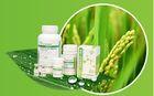 Rice Grains Derived Human Serum Albumin CAS 70024-90-7 For Animal Free Medium