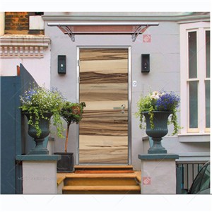 Morden Natural Silver Birch RETRO Art Style Surface ECO New Metarial Room Stainless Door