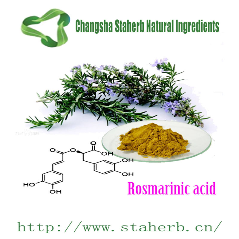 Carnosic Acid, Ursolic Acid, Rosmarinic Acid Rosemary Extract 