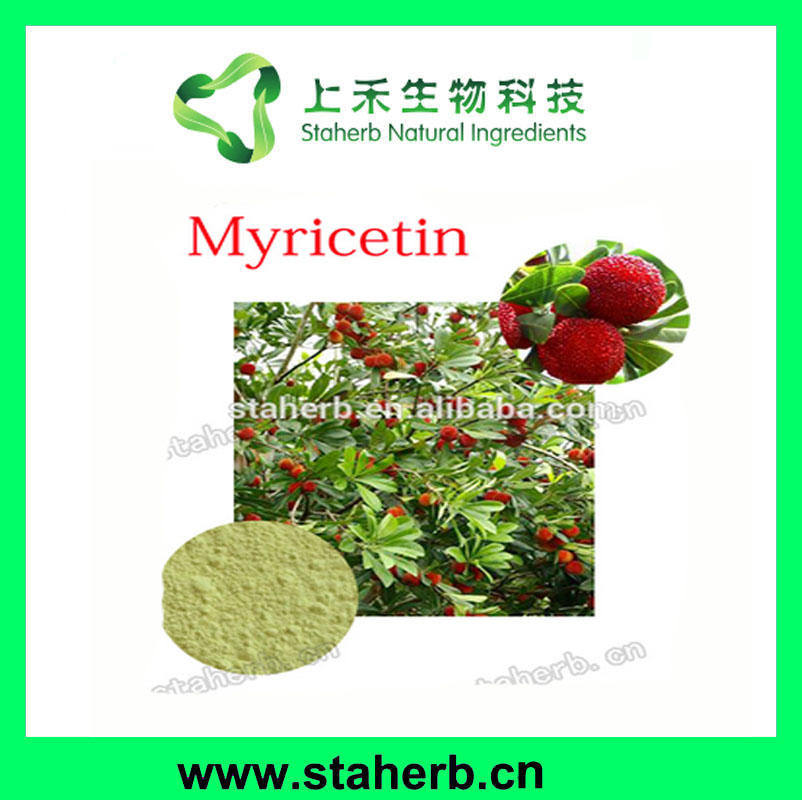 Bayberry Bark Extract 80% 90%,98% Myricetin 