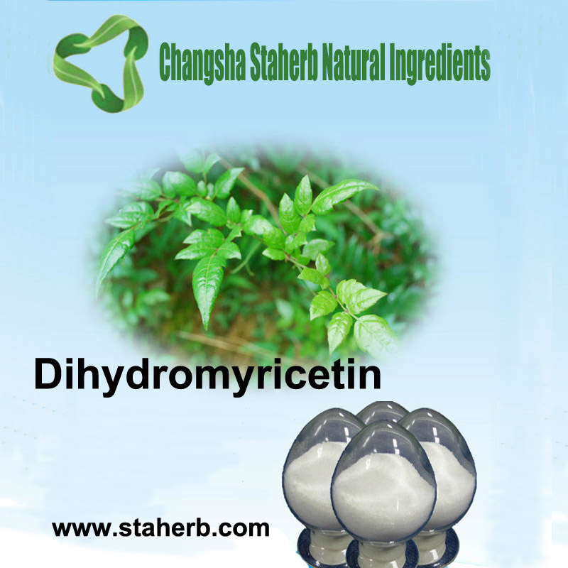 50% 80% 90% 98% DMY Dihydromyricetin CAS 27200-12-0  Vine Tea Extract 