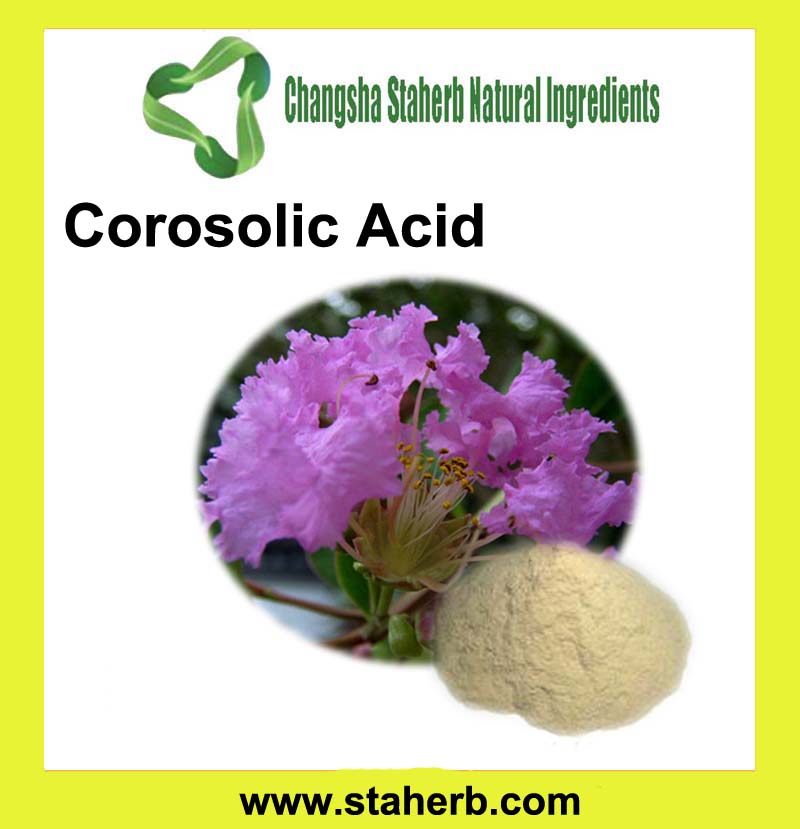 Banaba Leaf Extract Corosolic Acid CAS:4547-24-4