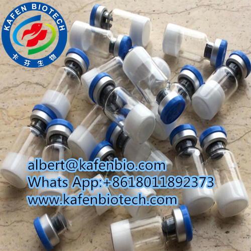 HGH Fragment  176-191 HCG AOD9604 Peptides