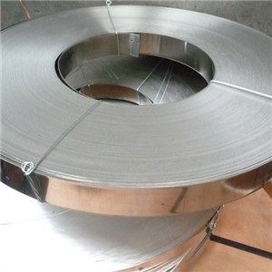 Special Super Alloy Alloy Nickel Based Alloy Nickel Alloy EQNiCrMo-3 Welding Strip