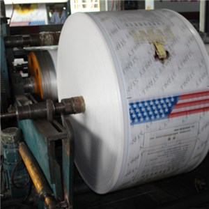 Color Printing Bopp Laminated Fabric Roll