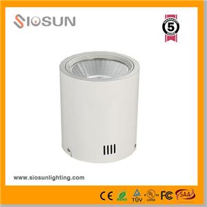 45W Diameter 200mm Round Surface Mounted LED Downlighting