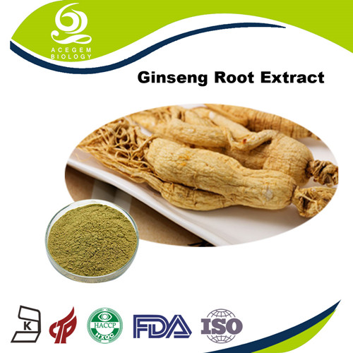 Panax Ginseng Root Extract