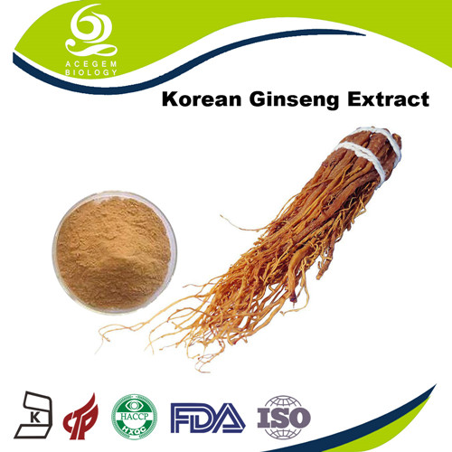 Red Ginseng Root Extract 7% Ginsenosides Powder