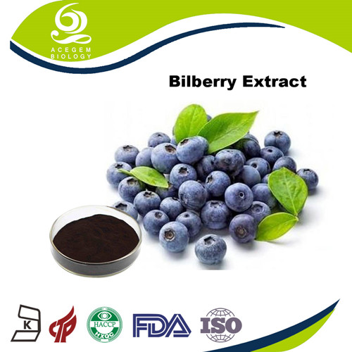 Euro Bilberry Fruit Extract 25% Anthocyanidins