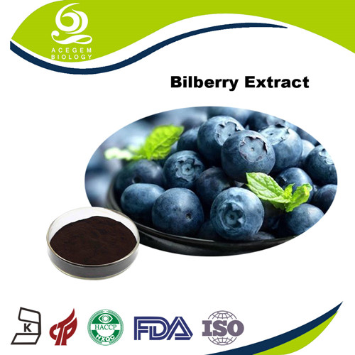 EP standard of Bilberry Extract 25% Powder