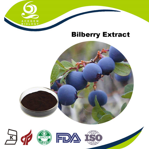 EP Anthocyanidin 25% UV Bilberry Extract