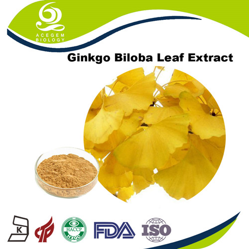 USP Standard Dried Ginkgo Biloba Extract Powder