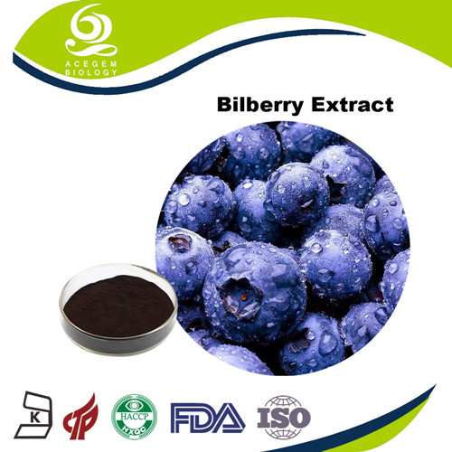 Bilberry Extract 25% UV Powder