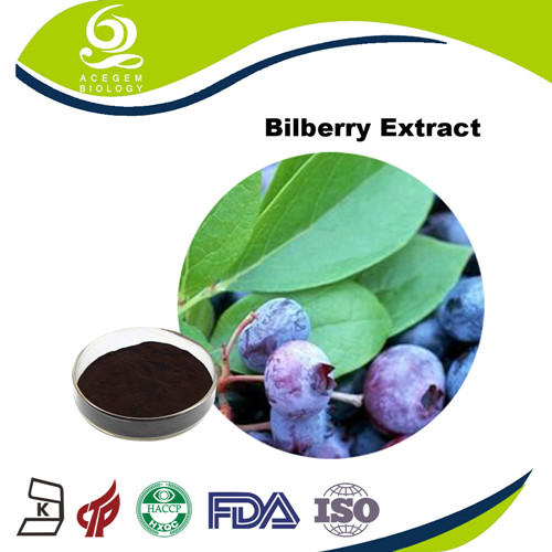 Euro Bilberry Extract 25% UV Anthocyanidins Powder