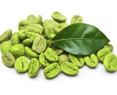 Green Coffee Bean Extract Chlorogenic acid