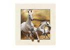 Stock Horse Image 5D Pictures Lenticular Photo Printing PET/PP Lenticular Printing
