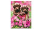 Cartoon 3D Lenticular Pictures PET for Kid& acute;s Room Decoration