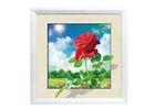 CMYK Printing 5D Effect Lenticular Movie Poster / Pictures With White MDP Frame