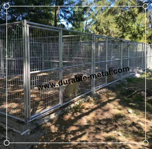Heavy Duty Mutiple Run Dog Kennels