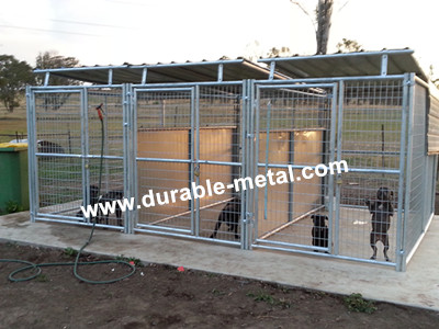 3-Run Dog Kennels with Fight Guard Divider