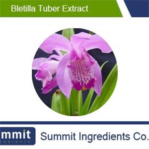 Bletilla Tuber Extract 5:1, Thunb extract, Bletilla striata (Thunb.) Reichb.F.