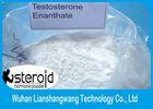 Testosterone Anabolic Steroid Testosterone Enanthate White Powder 99.5% Purity CAS 315-37-7 for Body