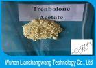 99.5% Yellow Parabolan Trenbolone Powder , Trenbolone Acetate Steroid For Muscle Enhancement