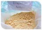 Trenbolone Acetate Strong Pharmaceutical Grade Anabolic Steroids For Bodybuilding 10161-34-9