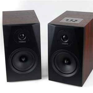 5& acute; Subwoofer Brown 2.0 PC Speaker Wiht Bluetooth.dotx