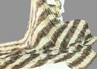 150*200cm Custom Fleece Blankets , Grow Up Blanket Shrink Resistant