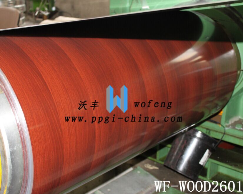 Chinese supplier new style construction steel sheet /construction steel coil