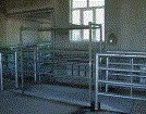 Living Cattle Gross Weight Scale System